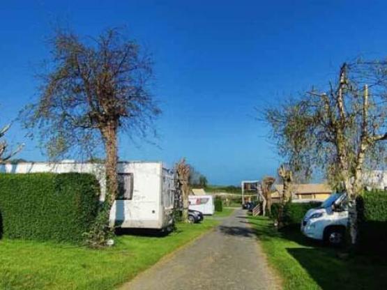 Parcela Nature (1 tienda, caravana, autocaravana / 1 coche)