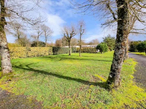 Stellplatz mit Stromanschluss Family Plus