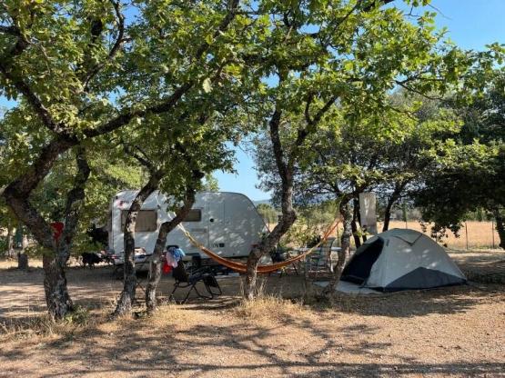 Stellplatz Confort XL für Zelt/Van/Wohnwagen/Wohnmobil (inklusive Strom)