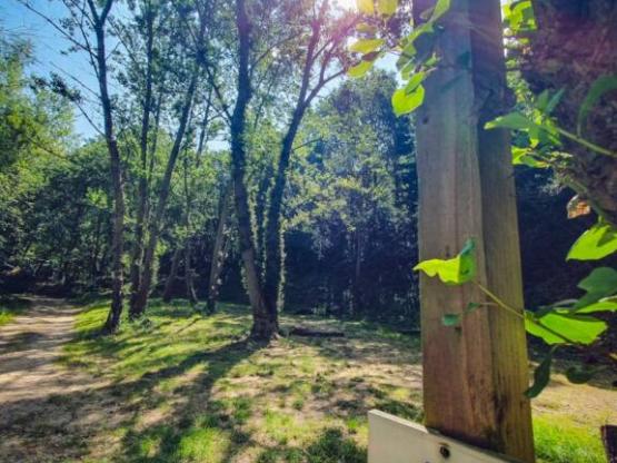 Pauschalplatz 1 Zelt (max. 7x3m) (Preis auf Basis von 2 Pers.) Mit Strom. Kein Fahrzeug auf Platz