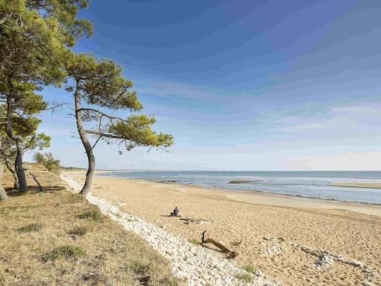 Mobilheim 1 Zimmer ESSENTIAL