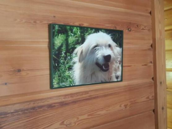 Hirtenhütte- sheets +towels + cleaning