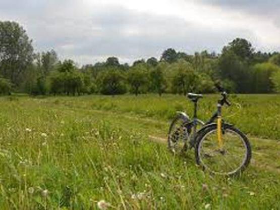 Stellplatz (Fahrrad)