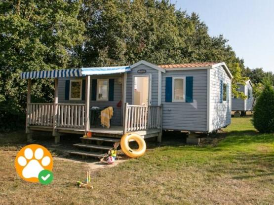 Haustierfreundliches Cottage 6pers