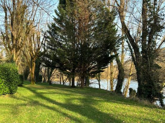 Pitch + Bicycle + electricity