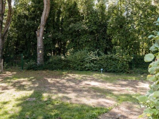 Stellplatz Komfort (1 Zelt, Wohnwagen, Wohnmobil / 1 Auto / Strom)