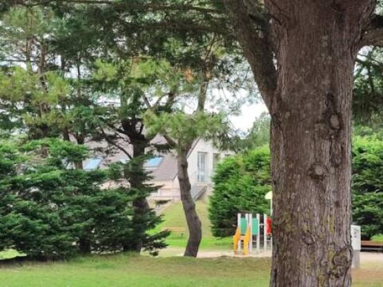 Pauschale Stellplatz für 2 Wohnmobile (Zelt, Auto, Wohnwagen oder Wohnmobil)