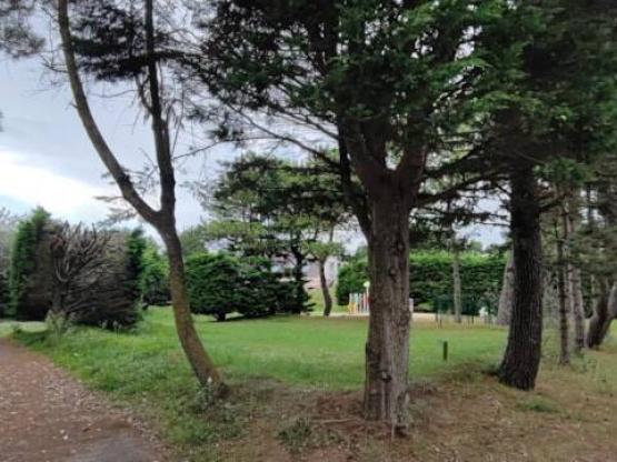 Pauschale Stellplatz für 1 Wohnmobil (Zelt, Auto, Wohnwagen oder Wohnmobil)