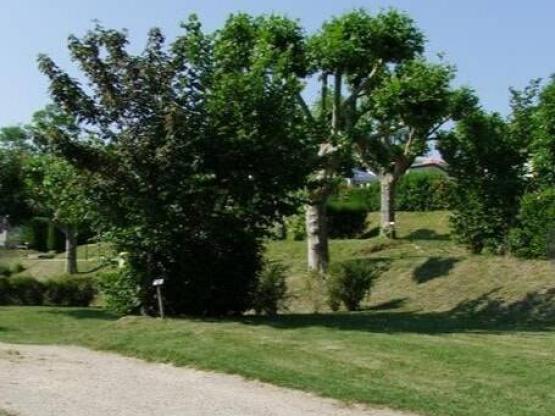 Camping Stellplatz 2 zu 6 Personen