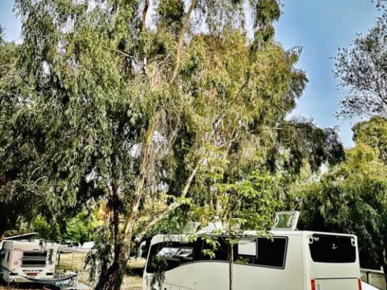 Stellplatz : Wohnmobil + Strom