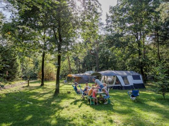 Pauschale Camping Stellplatz Comfort
