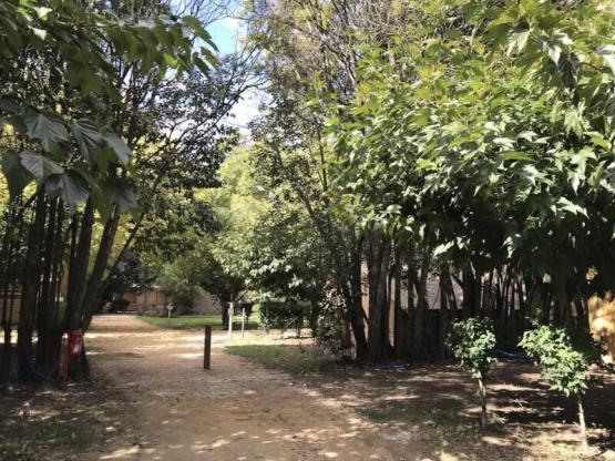 Emplacement + 1 voiture + 1 caravane + électricité 10A