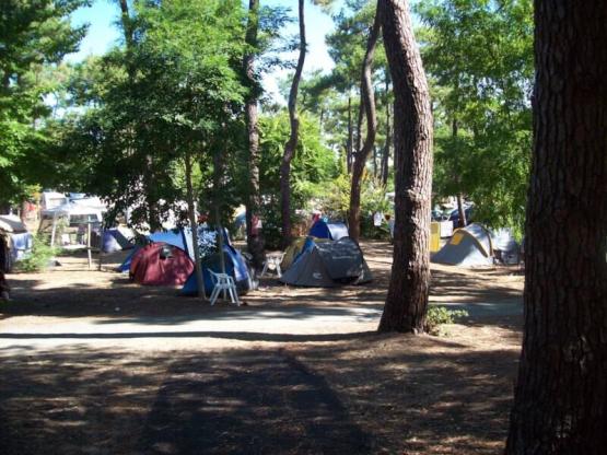 Stellplatz CONFORT +