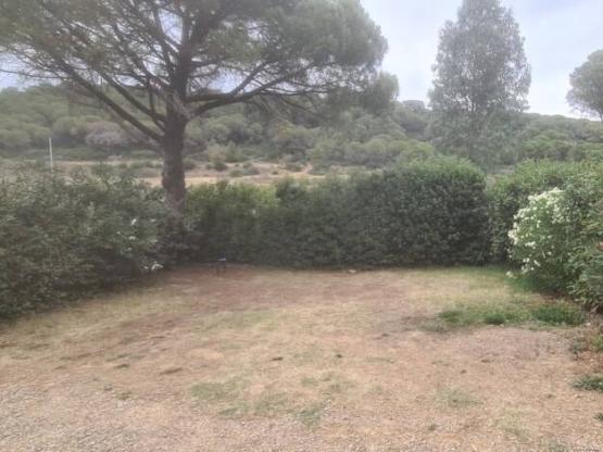 Emplacement Ensoleillé ( sans ombre) avec électricité.