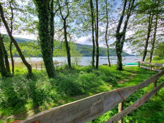 Premium-Paket - Seeufer mit Stromanschluss -