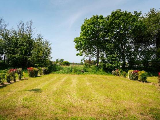 Stellplatz Großes Zelt oder Van