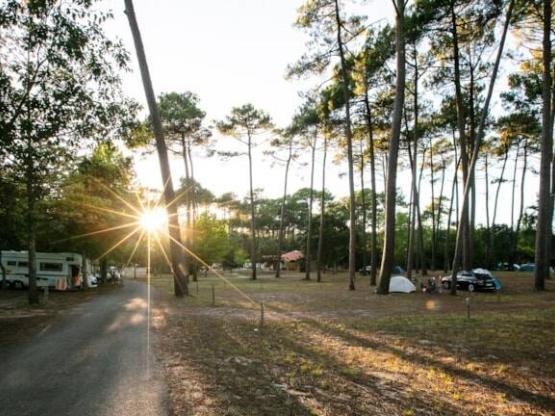 Großer Wohnmobilstellplatz auf Gras und Sand