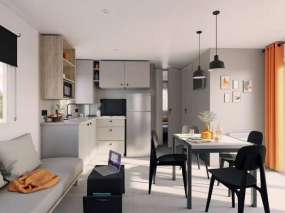 PRIVILEGE 4 chambres 2 salles de bain terrasse bois et auvent + climatisation (NEUF)