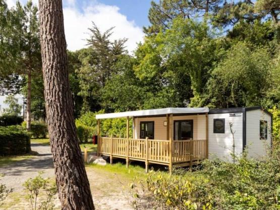 Mobilheim Premium 40m² (2 Schlafzimmer ) + Terrasse + TV