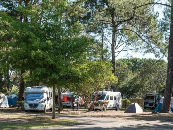 Pitch with electricity - Lake Side / D