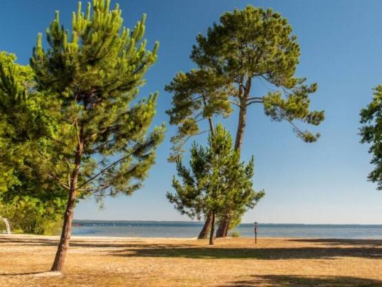 Zeltplatz mit Strom - Blick auf den See - 1. Reihe / D