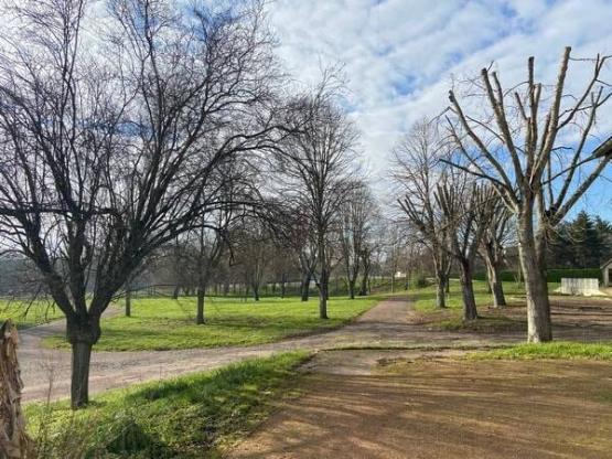 Forfait camping (emplacement, 2 personnes, 1 véhicule)