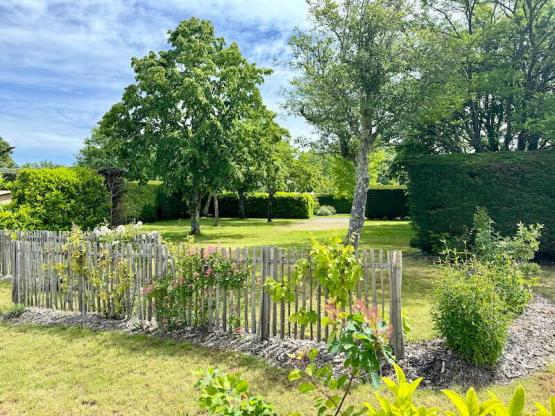 PREMIUM Pitch (with electricity)