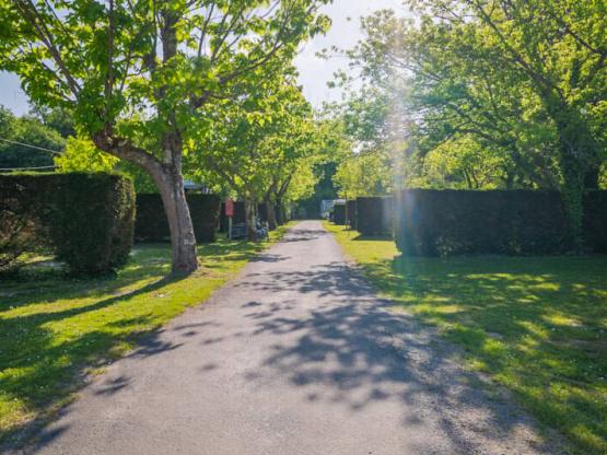 Stellplatz Privilege 4 grappes: Auto + Wohnwagen oder Wohnmobil 2/6 Pers.