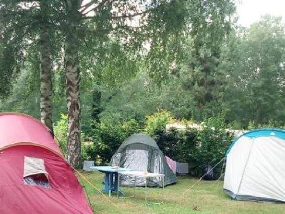 Pitch tent / caravan + electricity