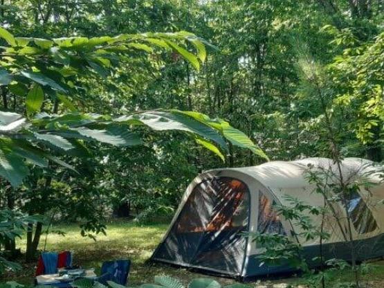 Parcela en el bosque