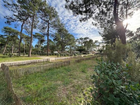 Gemeinsamer Stellplatz 2 Fahrräder/Fußgänger + Zelt