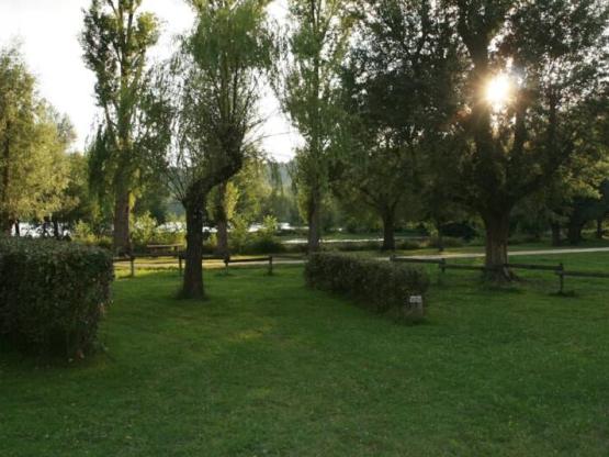 Emplacement Voiture + Tente