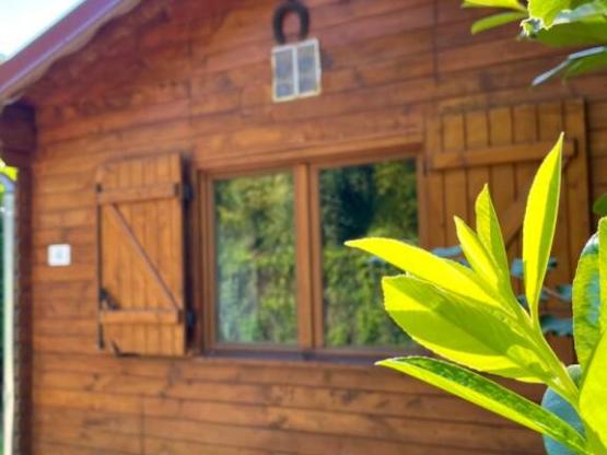 Hütte - 20m² - 1 Schlafzimmer