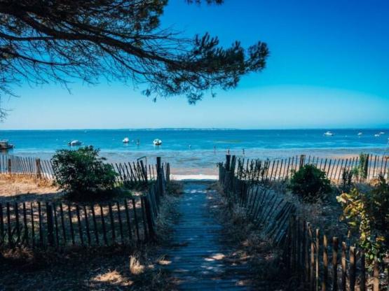 Stellplatz Blick auf den Teich