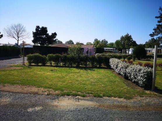 Pitch with electricity