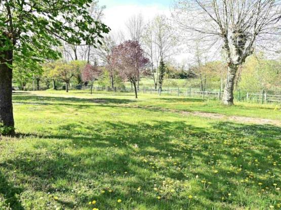 Stellplatz Komfort - 1  Fahrzeug