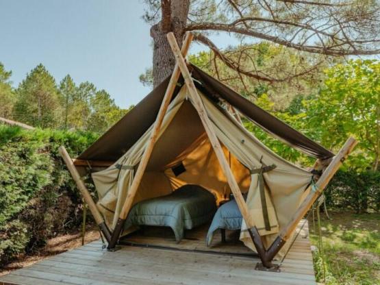 Neuheit 2025! Ecolodge -