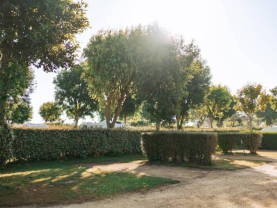 stabilisierter Stellplatz 2 Personen und Strom