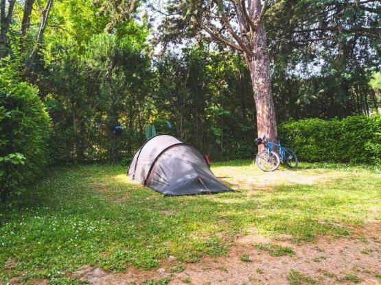 Komfort Stellplatz medium für Zelt/Van < 5m (mit Strom)
