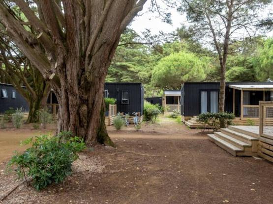 Premium Mobilheim 34m² (2 Schlafzimmer) + Terrasse + TV + Bettwäsche und Handtücher - 7 Nächte