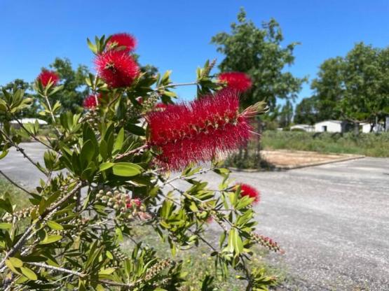 Wanderpauschale - 1 Person zu Fuß oder mit dem Fahrrad, ohne Strom