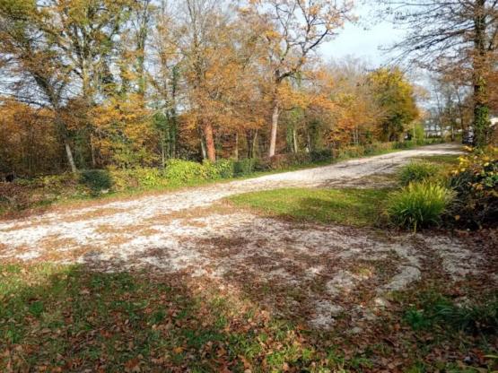 Comfortplaats voor campers + water + elektriciteit -