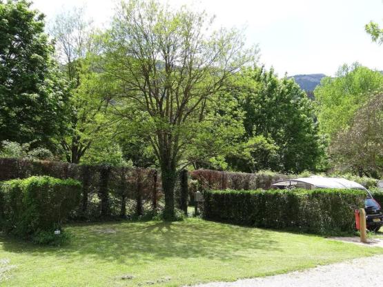 Stellplatz + 1 Fahrzeug + Zelt oder Wohnwagen +