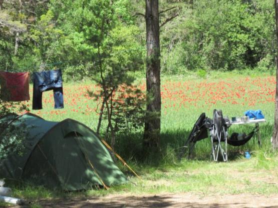 Stellplatz mit Ausblick + Auto