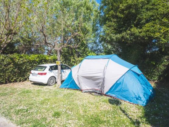 Komfort Stellplatz Medium für Zelt/Van <5m (mit Strom)