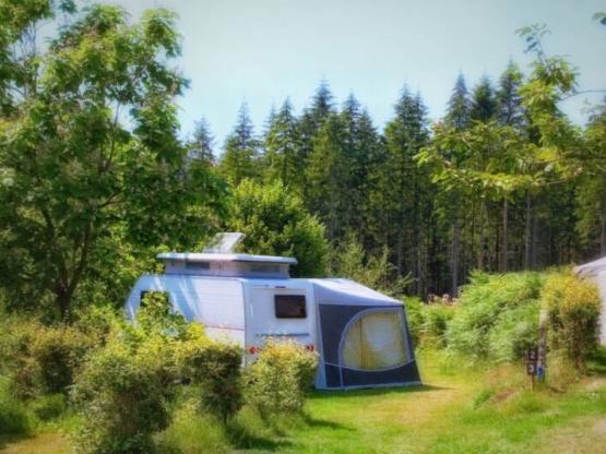 C010 Emplacement caravane/tente pliante/campingcar + voiture + electricité