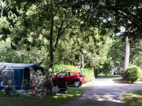 Komfort-Stellplatz: über 90 m² groß, mit Stromanschluss