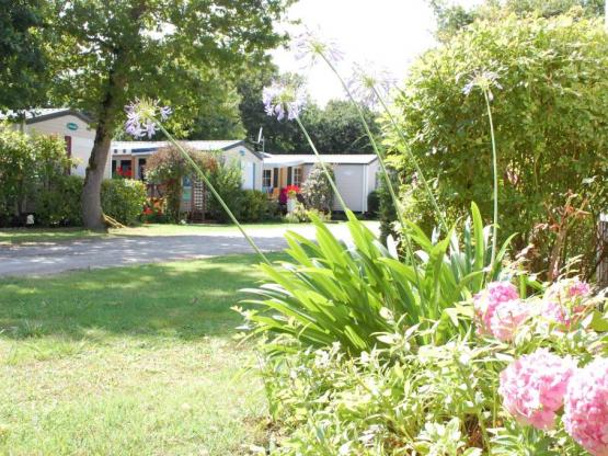 Mobil home (1 chambre)