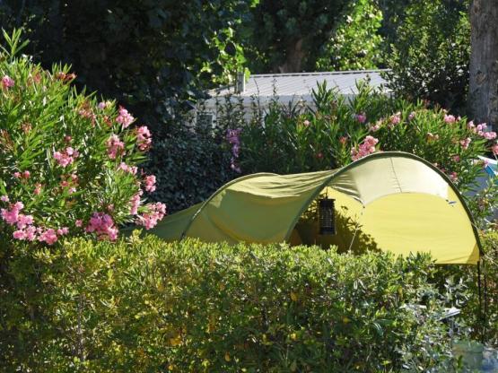 Stellplatz Confort Familie