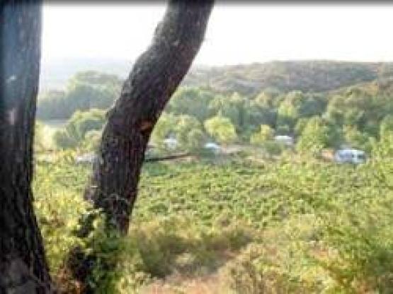 Pitch Confort Tent - Caravan